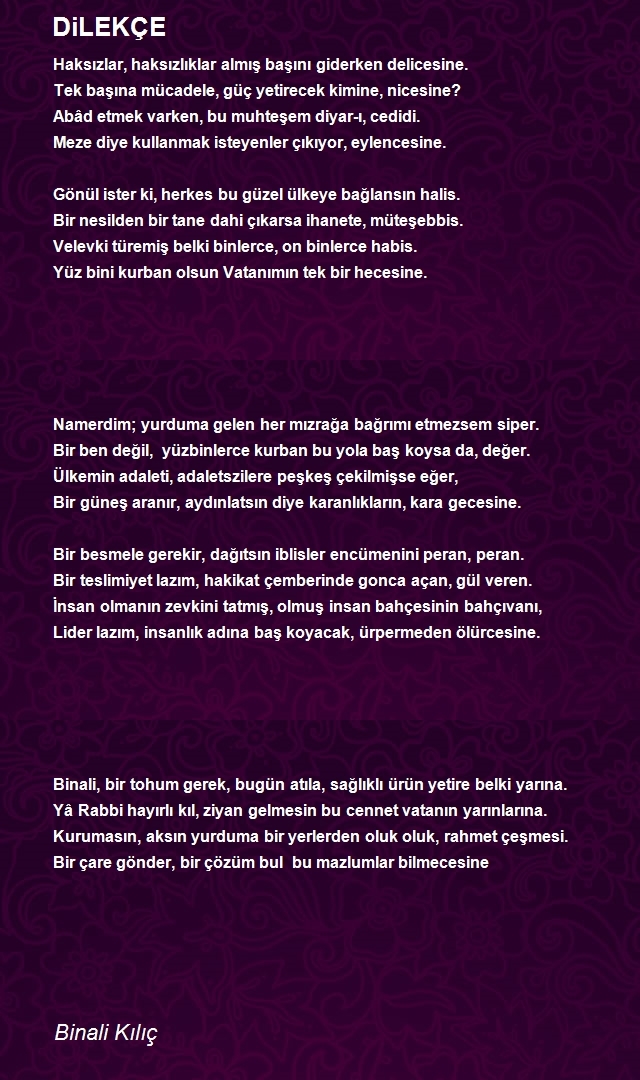 Binali Kılıç