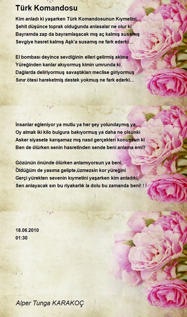 Alper Tunga KARAKOÇ