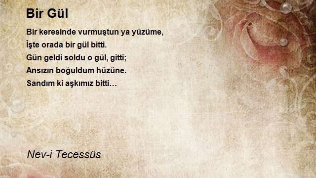 Nev-i Tecessüs