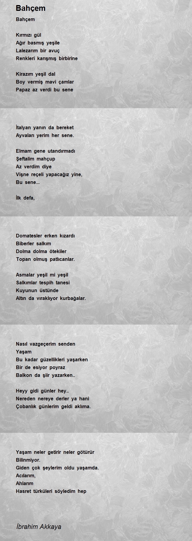İbrahim Akkaya