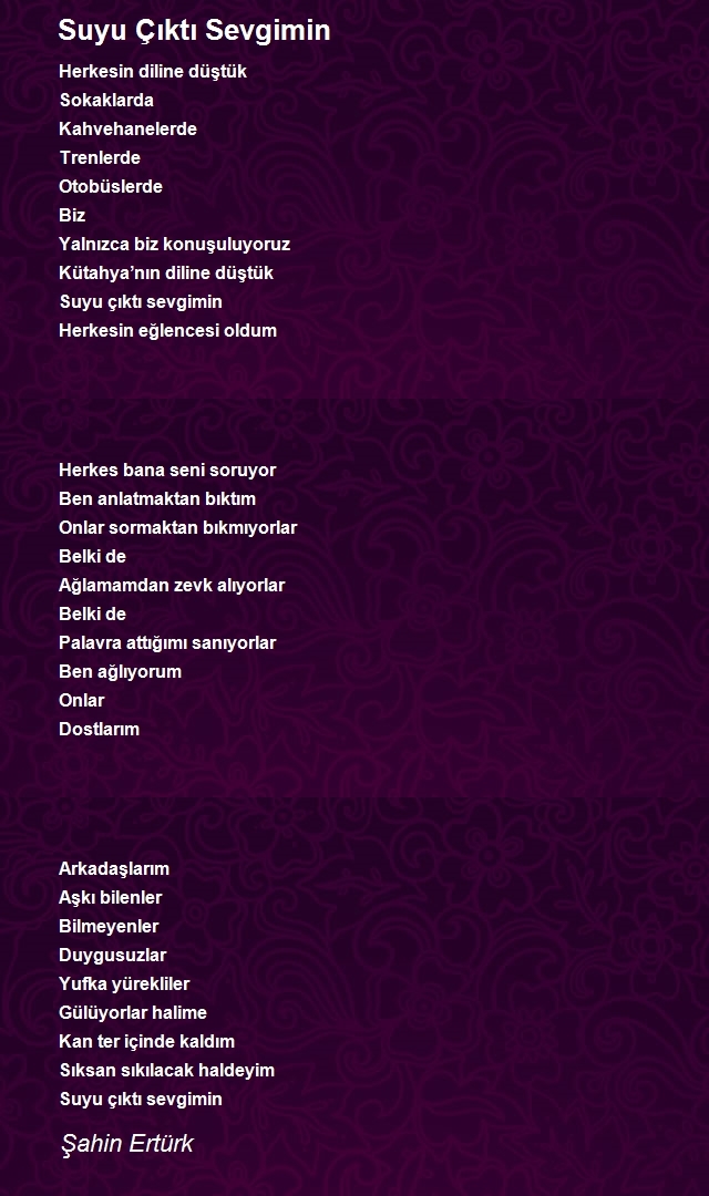 Şahin Ertürk