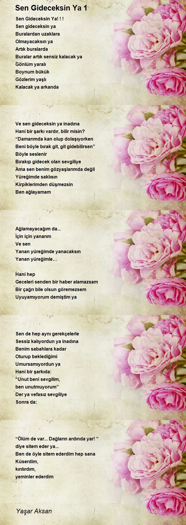 Yaşar Aksan
