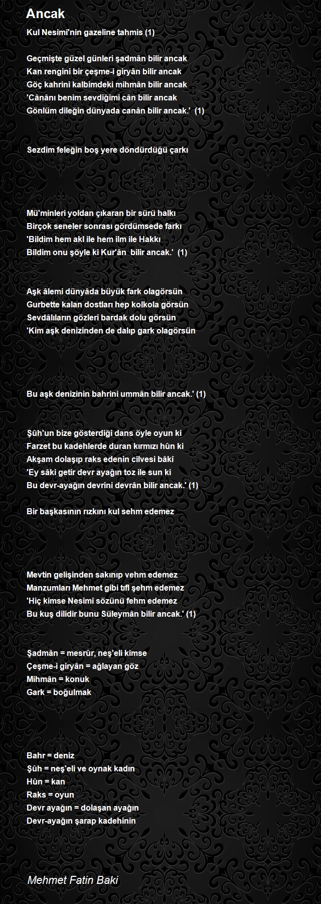 Mehmet Fatin Baki