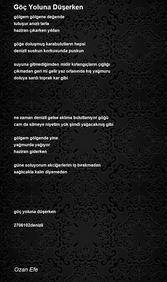 Ozan Efe