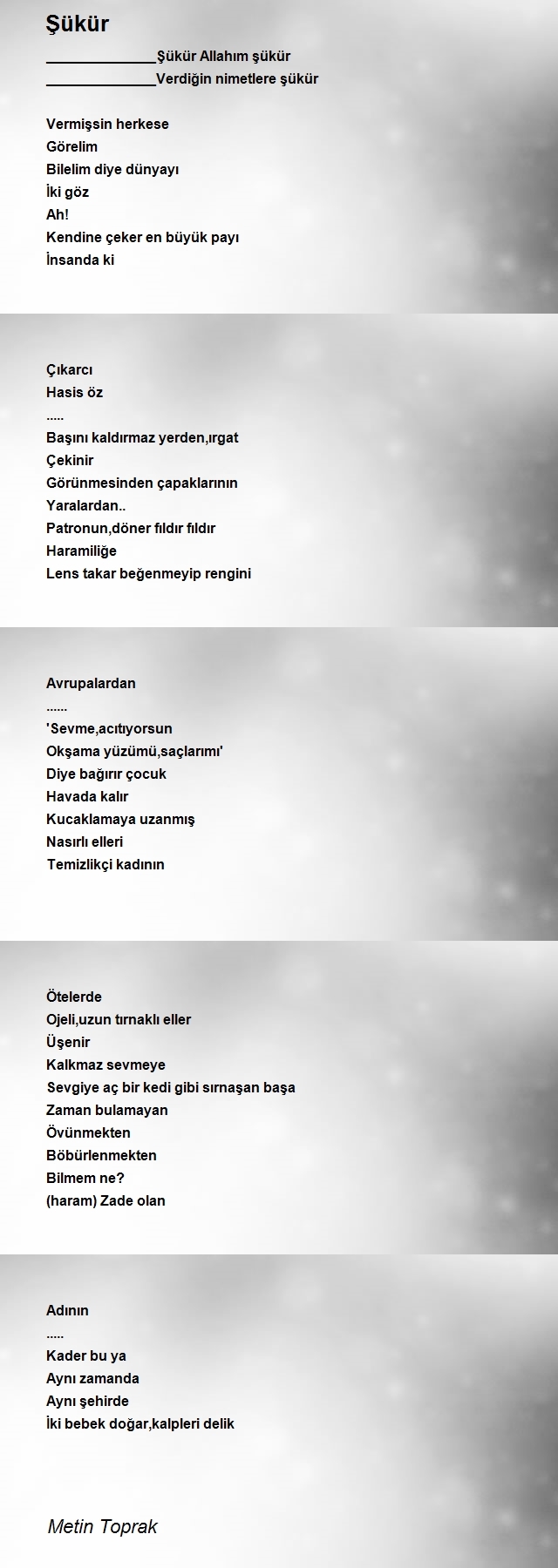 Metin Toprak