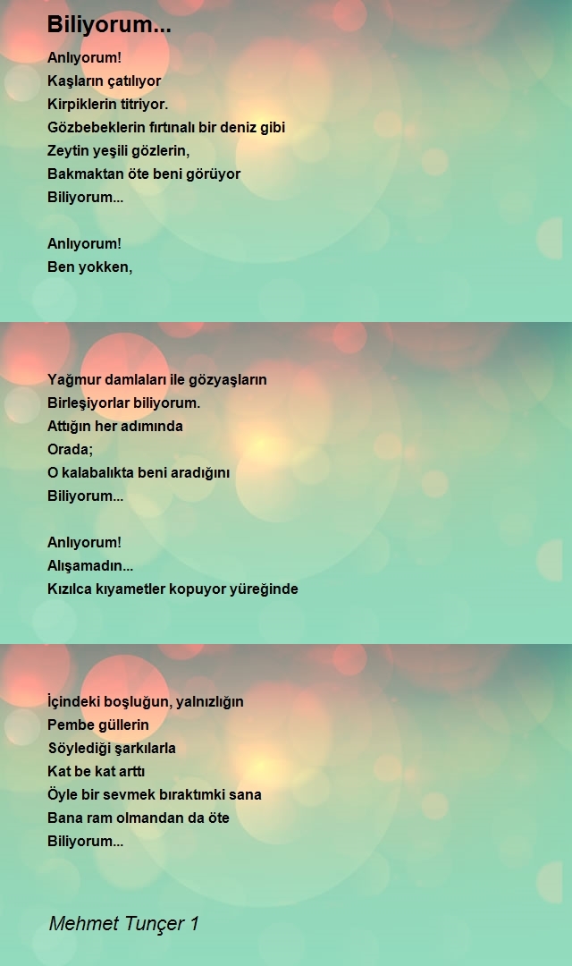 Mehmet Tunçer 1