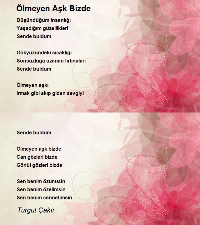 Turgut Çakır