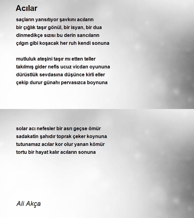 Ali Akça