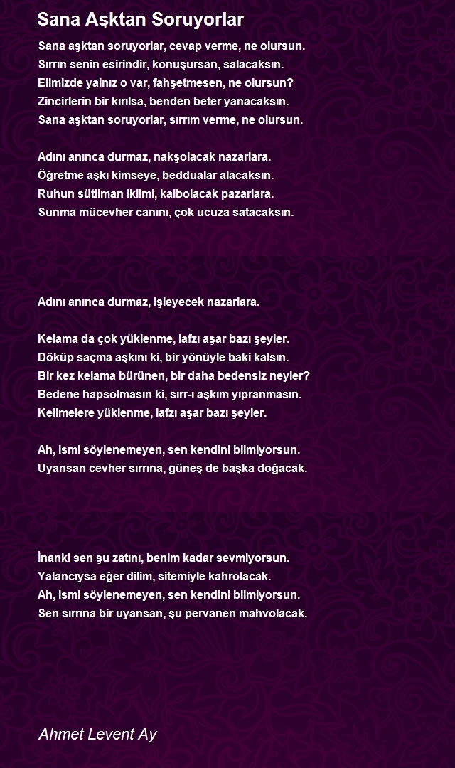 Ahmet Levent Ay