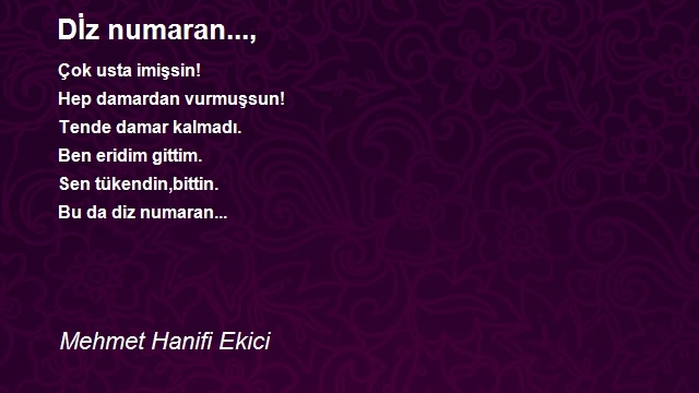 Mehmet Hanifi Ekici