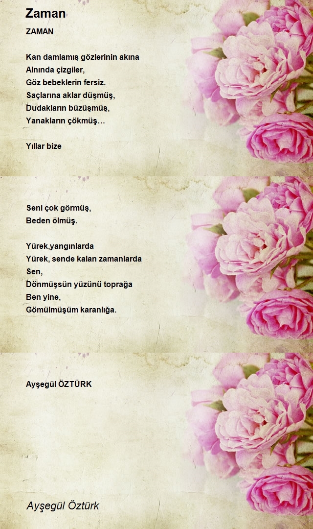 Ayşegül Öztürk