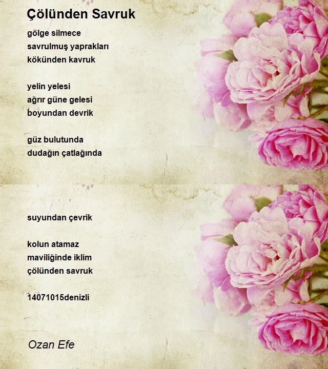 Ozan Efe