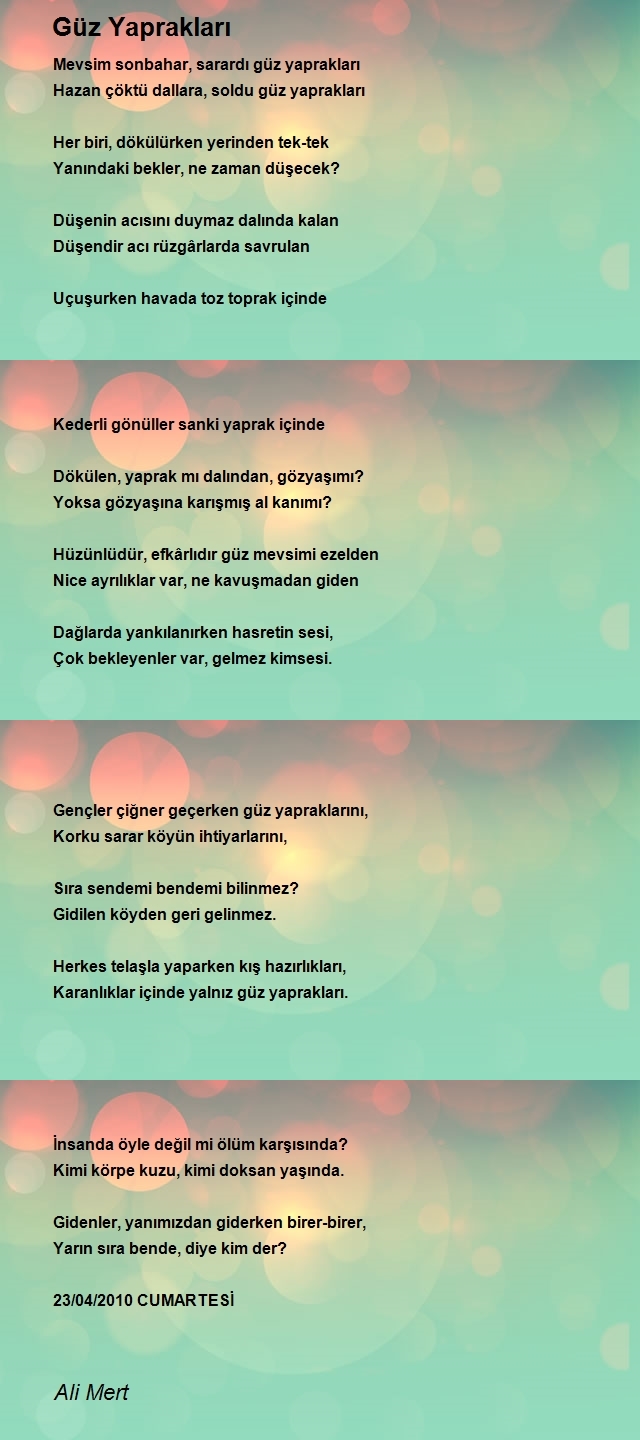 Ali Mert