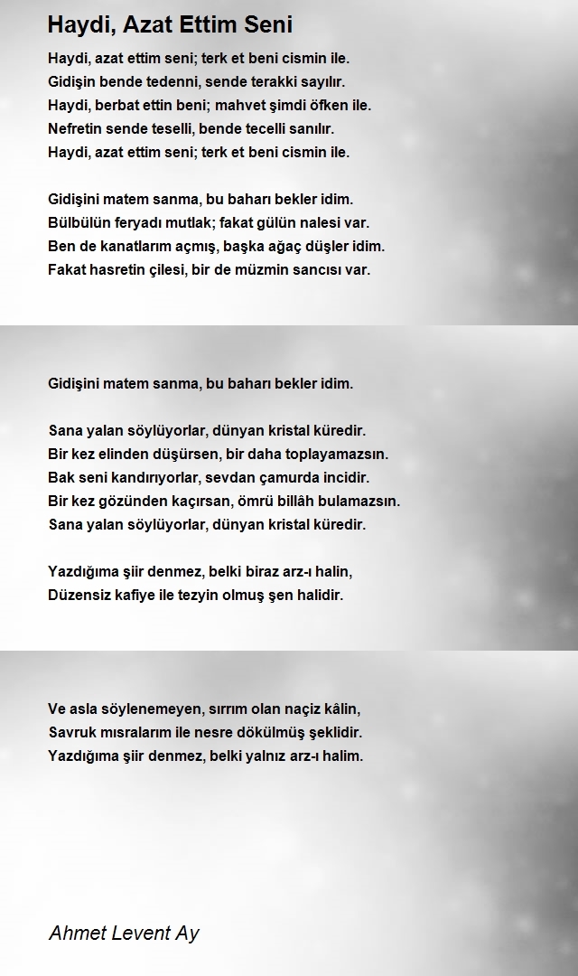 Ahmet Levent Ay