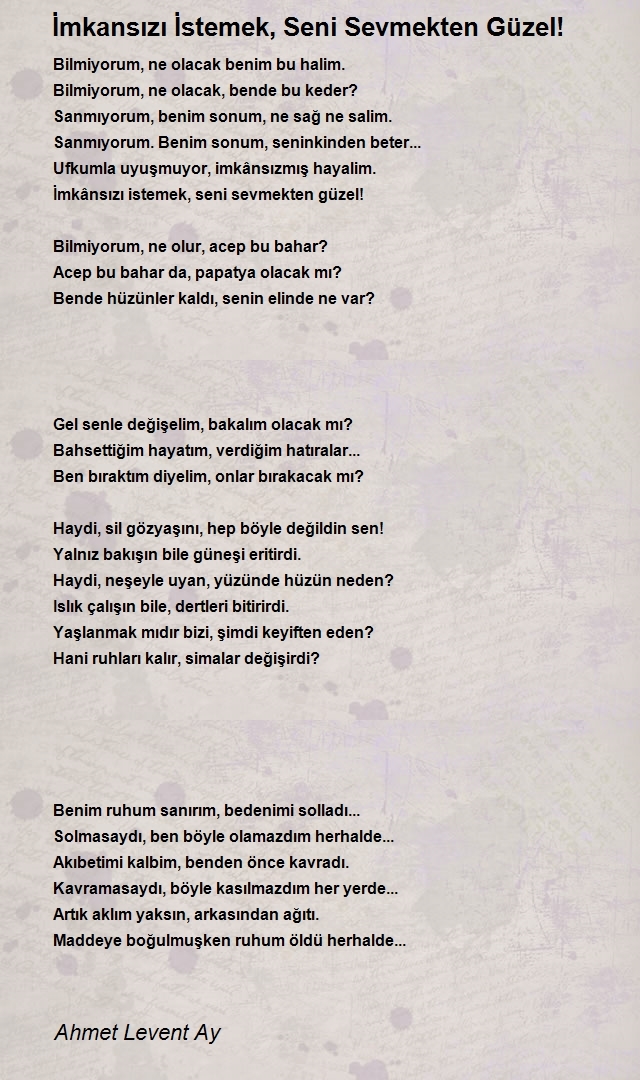 Ahmet Levent Ay