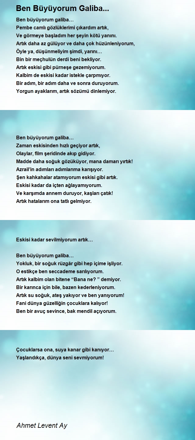 Ahmet Levent Ay
