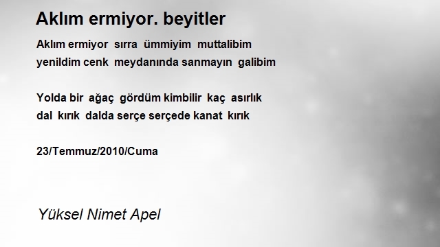 Yüksel Nimet Apel