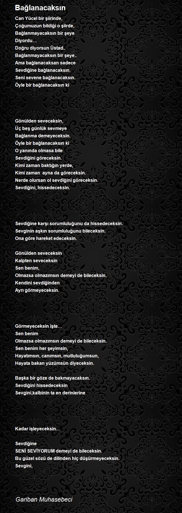 Gariban Muhasebeci