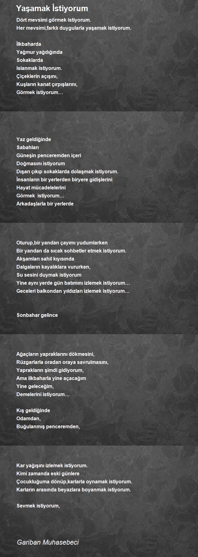 Gariban Muhasebeci