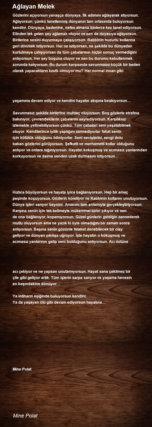 Mine Polat