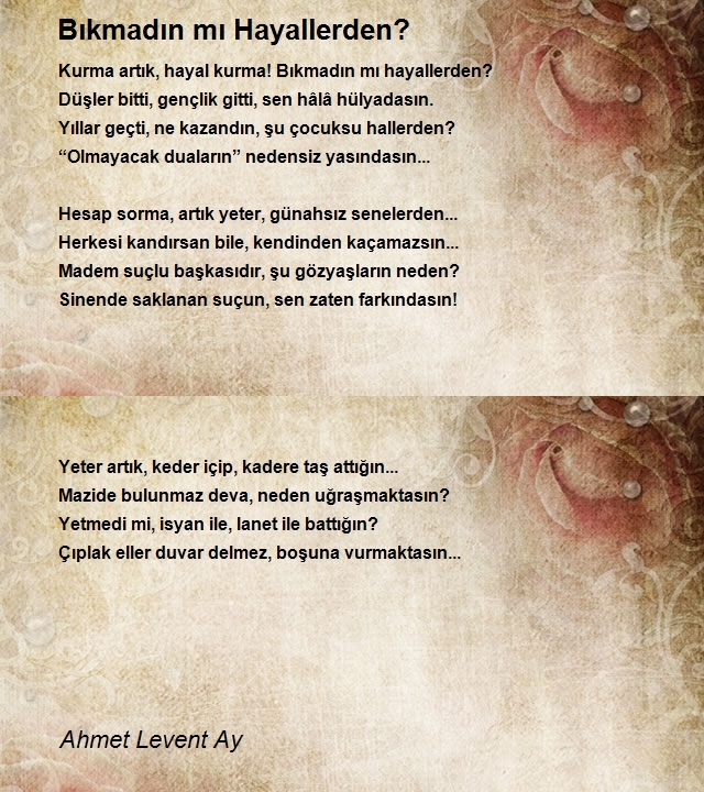 Ahmet Levent Ay
