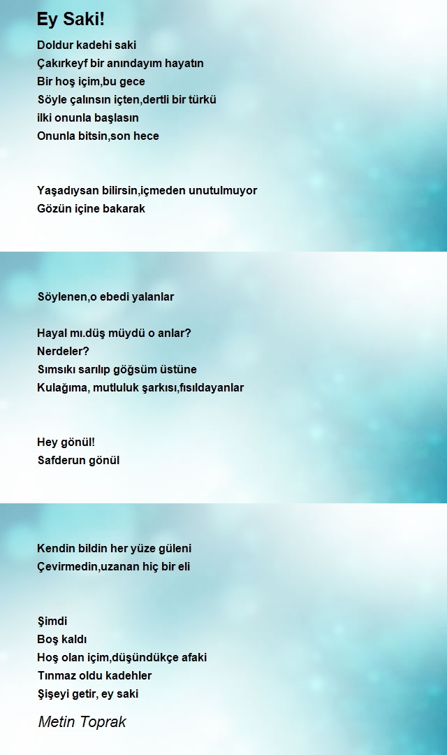 Metin Toprak
