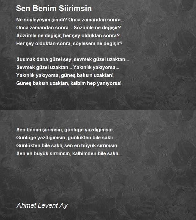 Ahmet Levent Ay