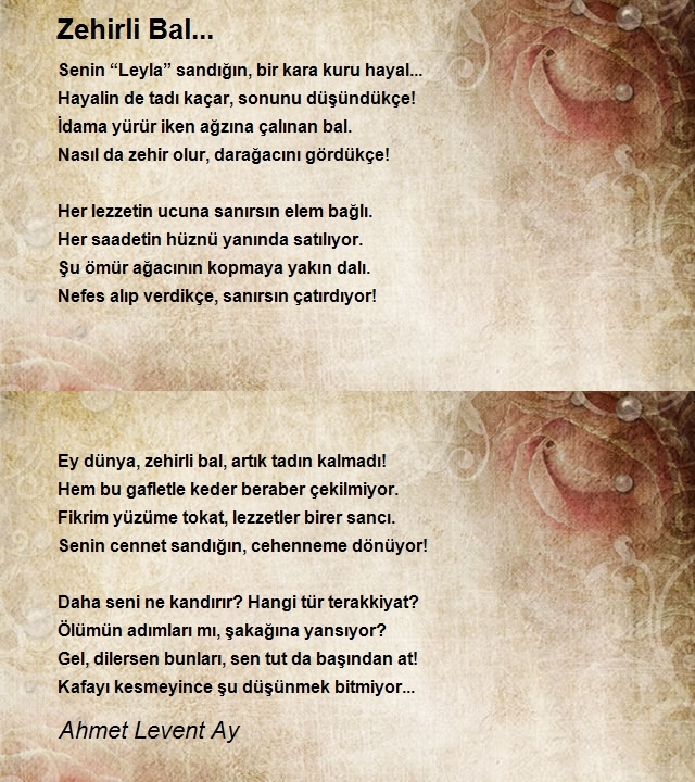 Ahmet Levent Ay