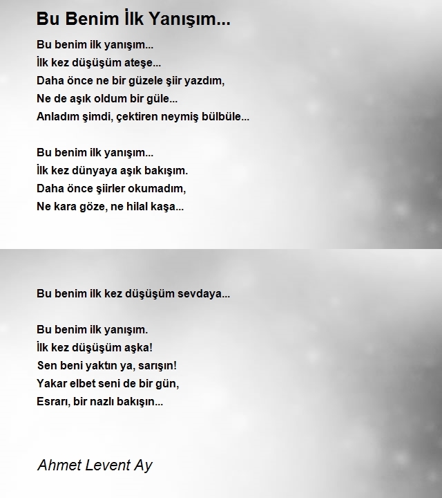 Ahmet Levent Ay
