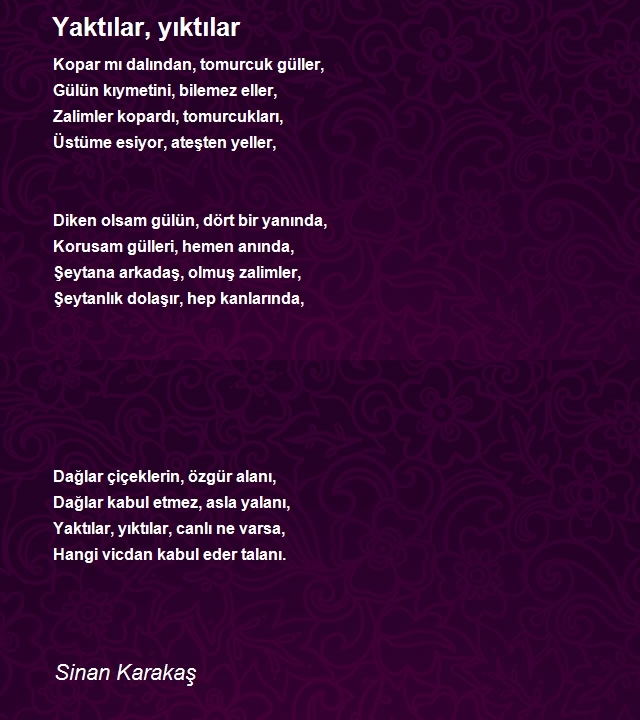 Sinan Karakaş