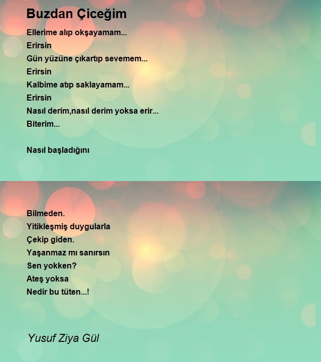Yusuf Ziya Gül