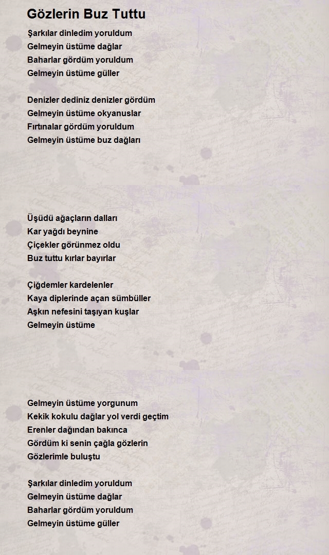 Turgut Çakır