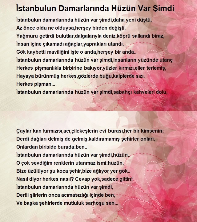 Enes Tayfur Bilgesu