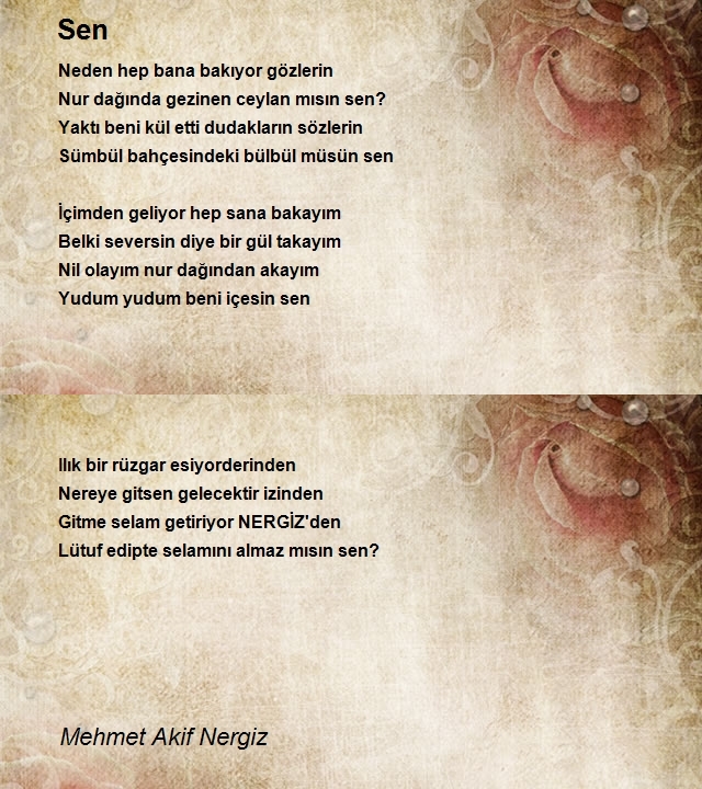 Mehmet Akif Nergiz