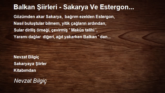 Nevzat Bilgiç