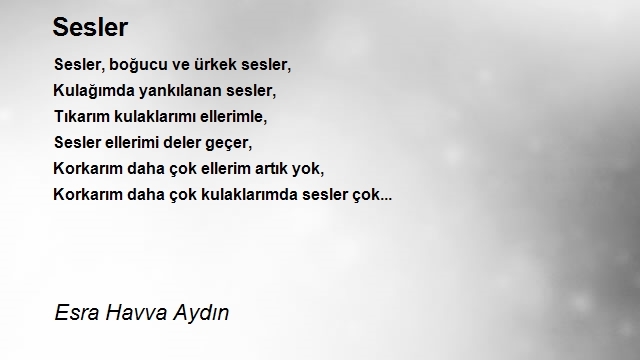 Esra Havva Aydın