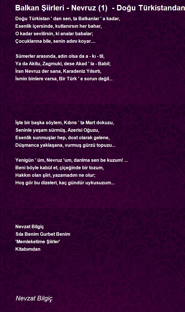 Nevzat Bilgiç