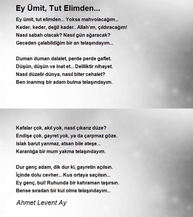 Ahmet Levent Ay