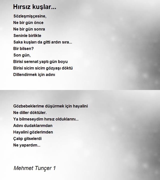 Mehmet Tunçer 1