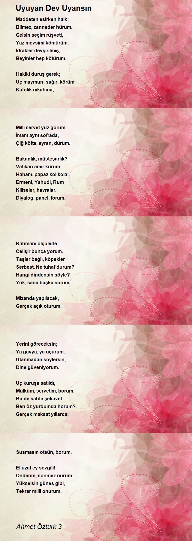 Ahmet Öztürk 3