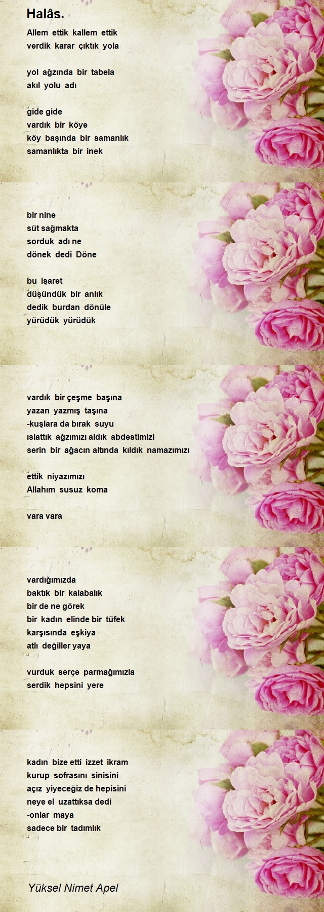 Yüksel Nimet Apel