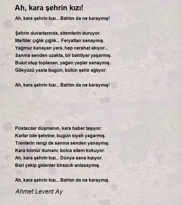 Ahmet Levent Ay