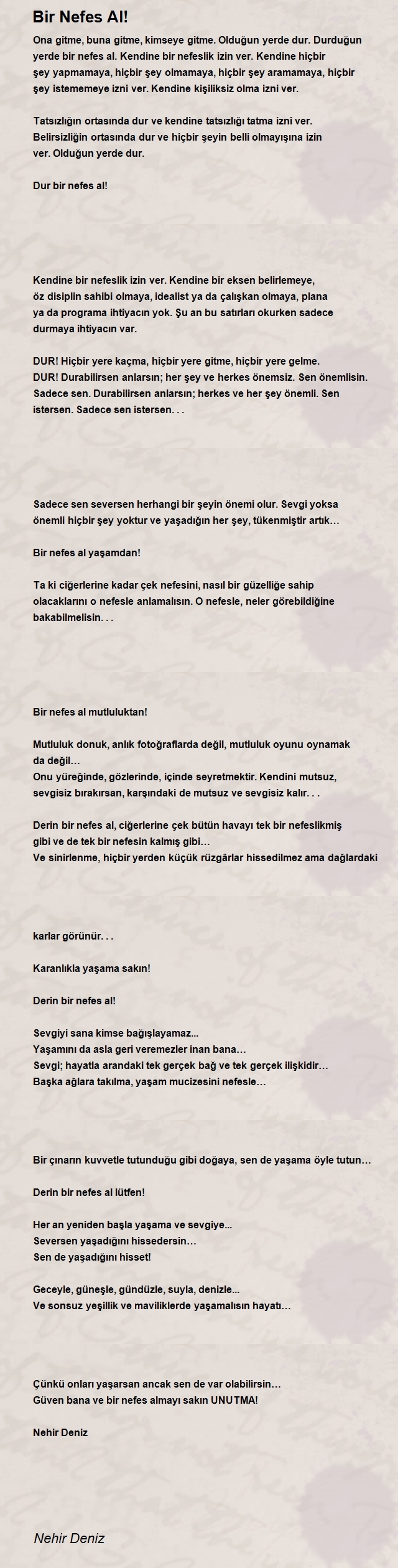 Nehir Deniz