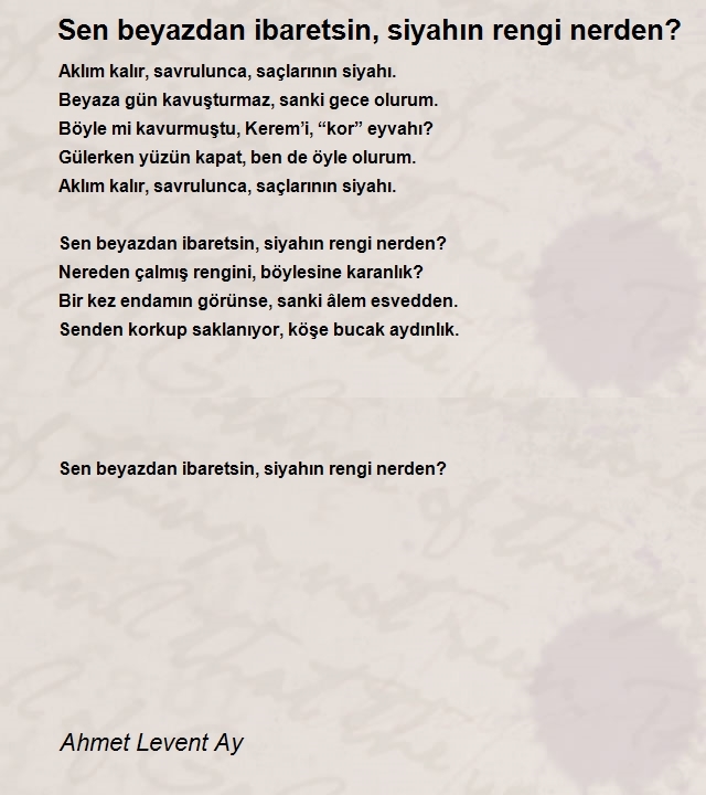 Ahmet Levent Ay