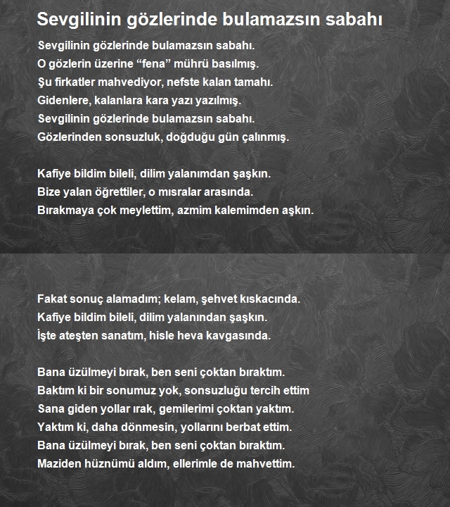 Ahmet Levent Ay