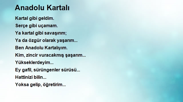 Murat Akbaş