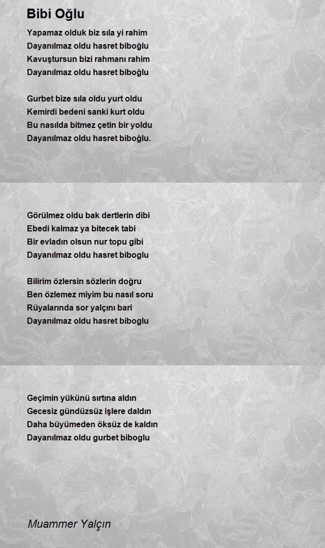 Muammer Yalçın