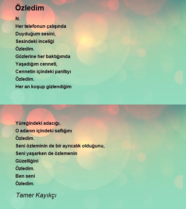 Tamer Kayıkçı