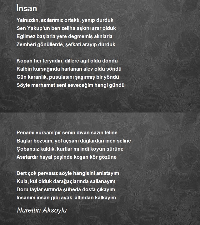 Nurettin Aksoylu