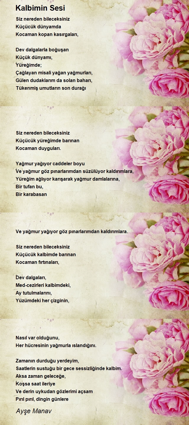Ayşe Manav